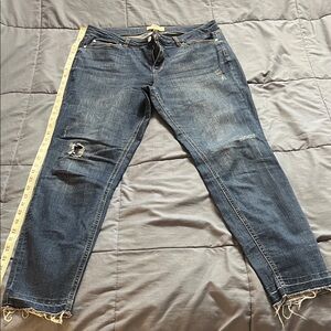 For The Republic Blue Ankle & Cropped Jeans